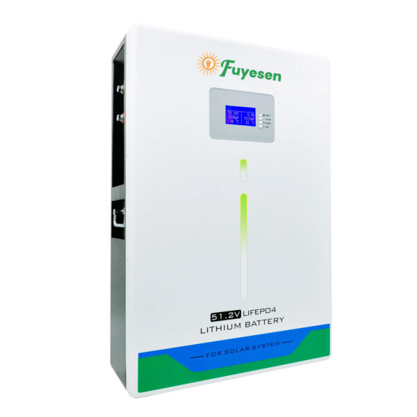 Fuyesen 51.2V LIFEPO4 lithium battery 6