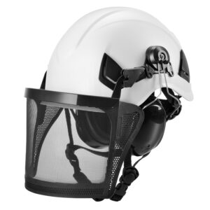 forestry helmet